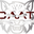 CAAT Wildcaats logo